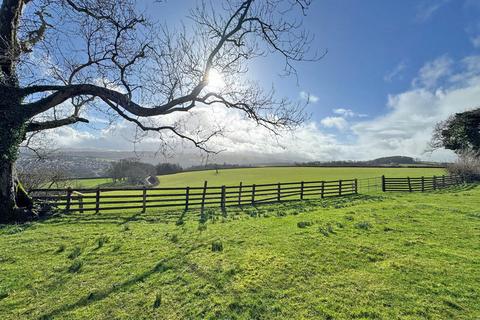 undefined, West Hook Farm, Okehampton
