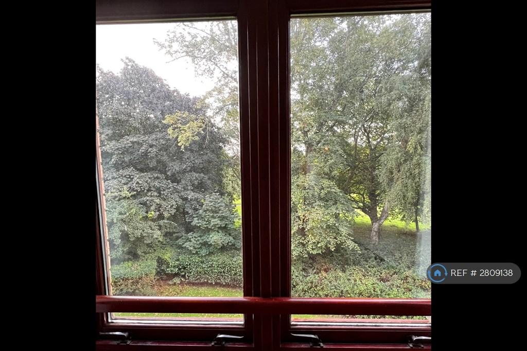 View From Flat