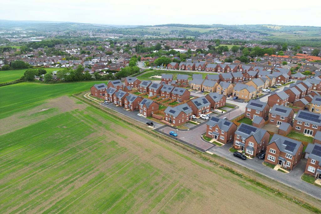 TWM Bovis 150525 0066