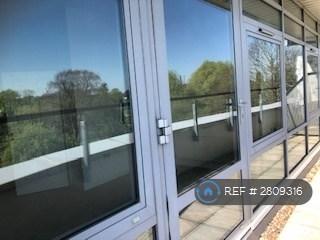 Wall Of Windows Onto Balcony