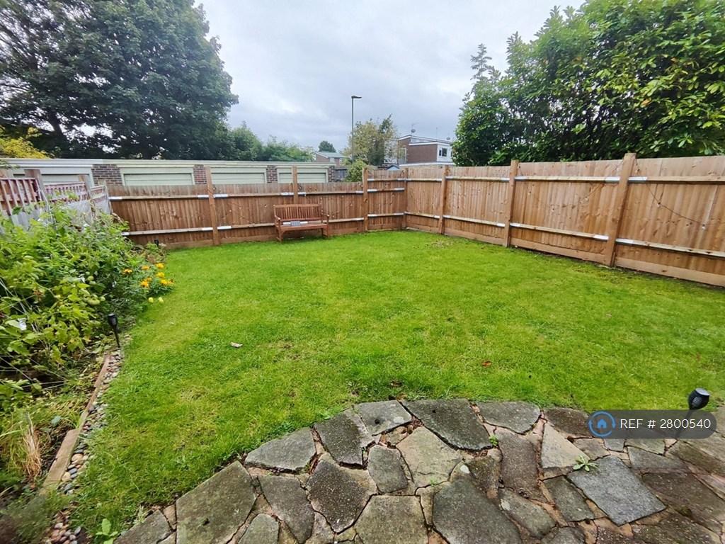 Back Garden