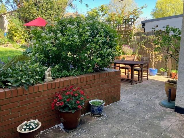 Patio and Garden