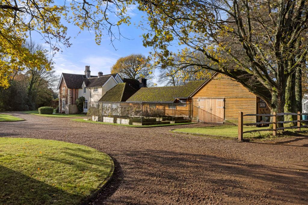 Driveway