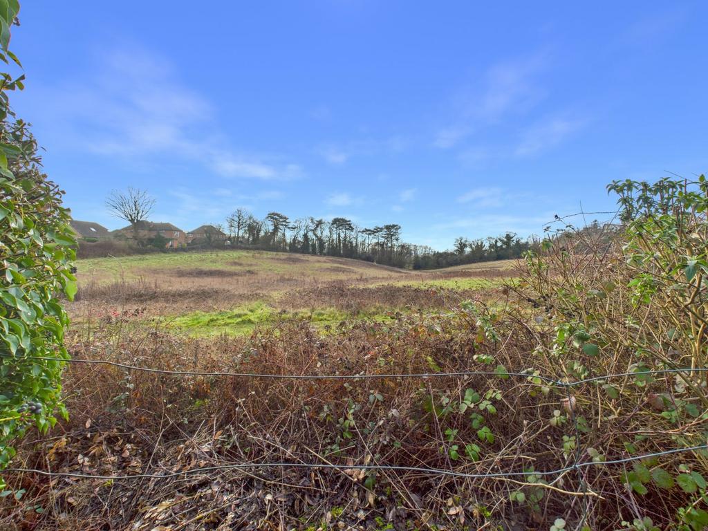 Meadow To Rear