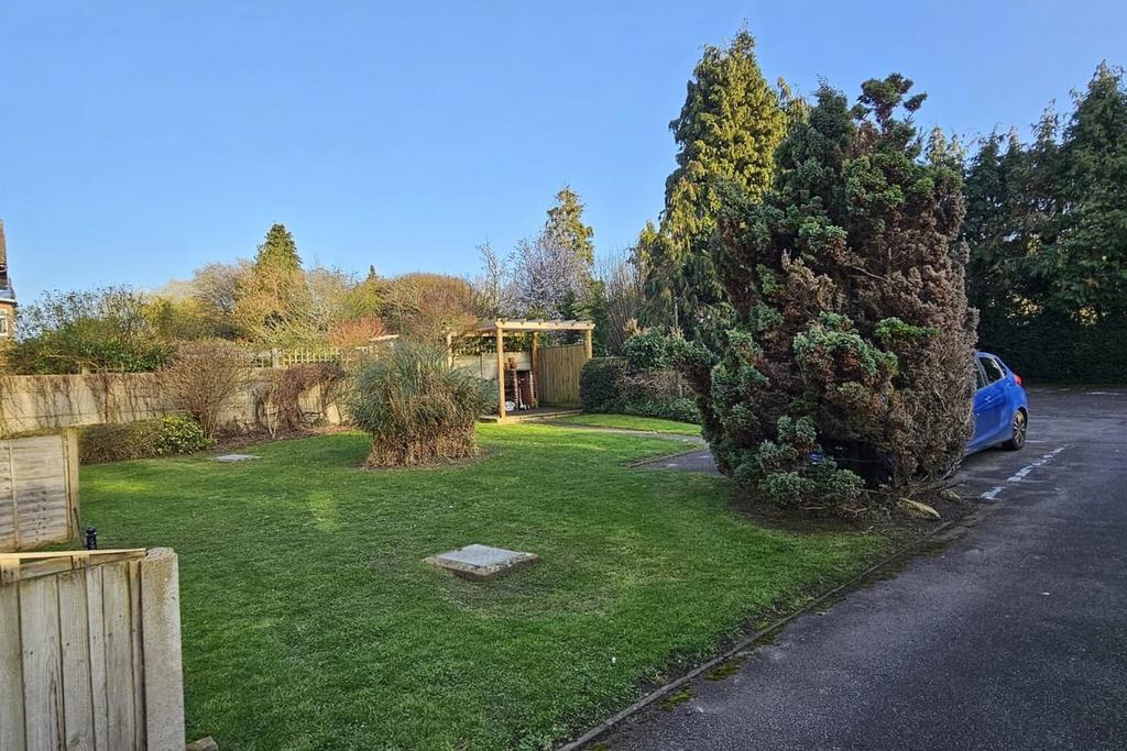 Garden view, garden