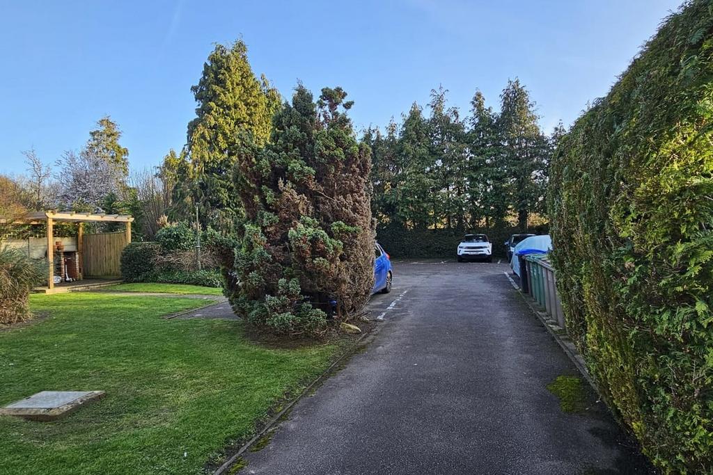 Driveway view, driveway