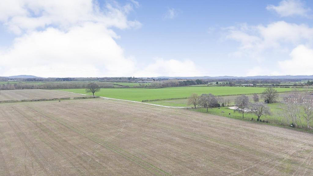 Dji fly 20260214 152017 0 1771082417145 photo low 