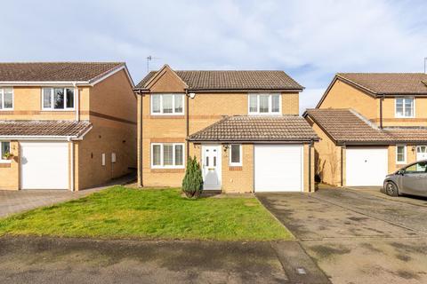 undefined, Dickson Drive, Hexham NE46