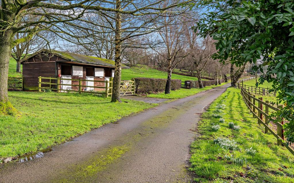 Driveway