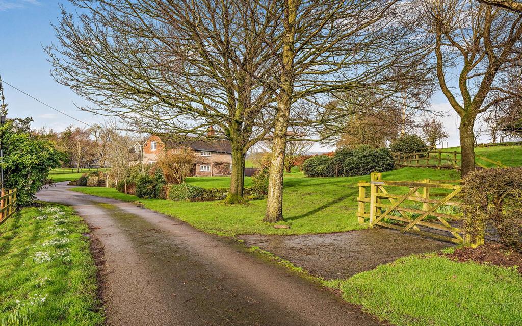 Driveway