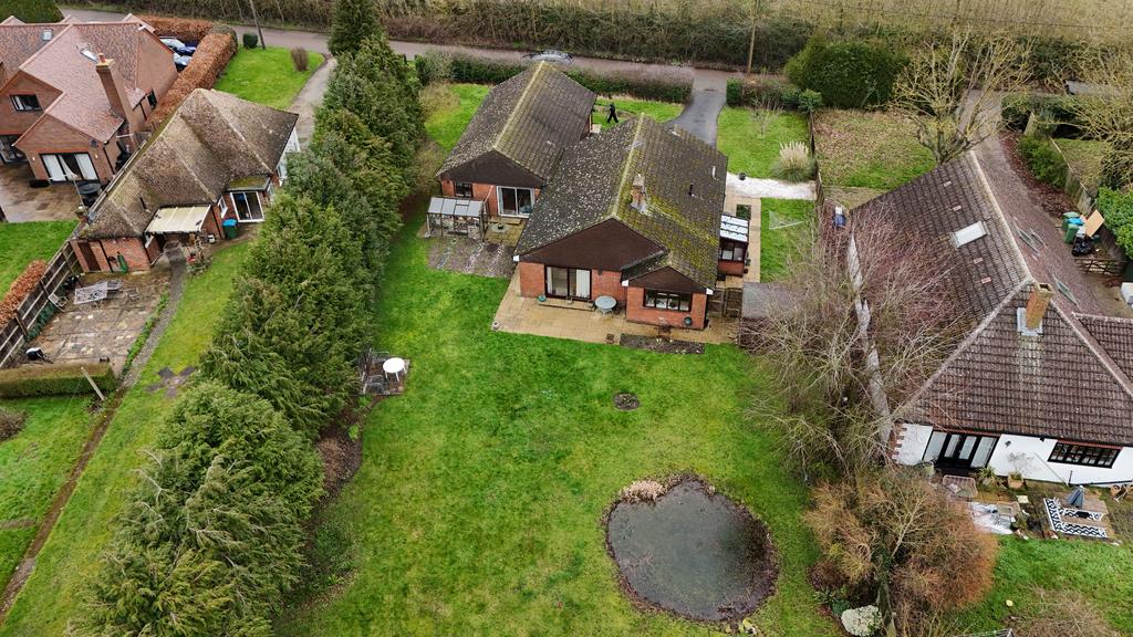 Dji 20260220115553 0284 d.jpg