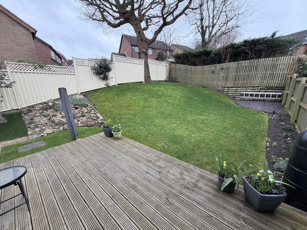 Rear garden ii