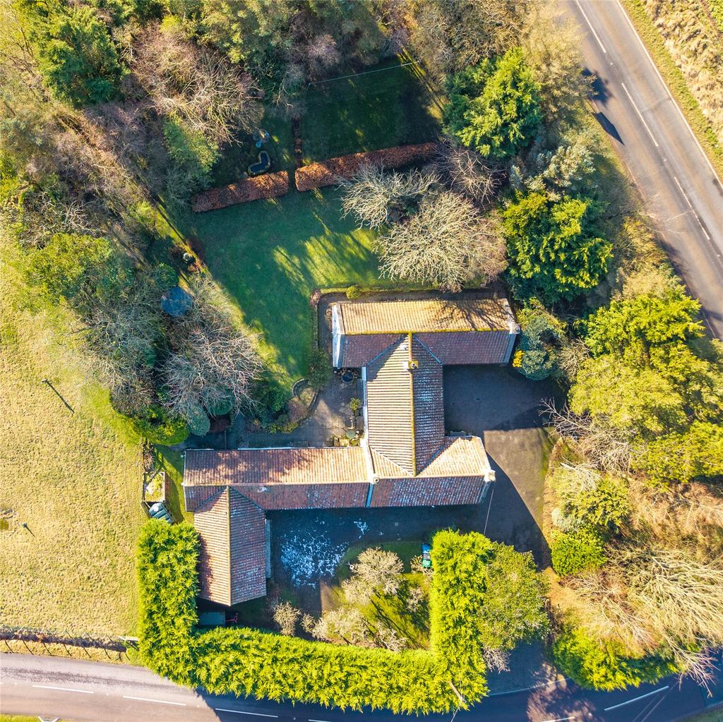 Aerial Shot