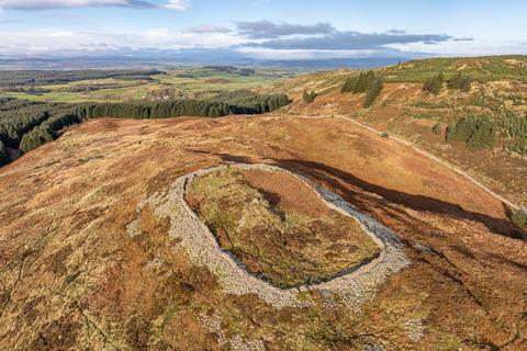 undefined, Dungarry Hill Plantation, Auchencairn, Castle Douglas DG7