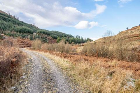 undefined, Dungarry Hill Plantation, Auchencairn, Castle Douglas DG7