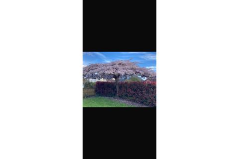 undefined, Orestan Lane, Leatherhead, KT24
