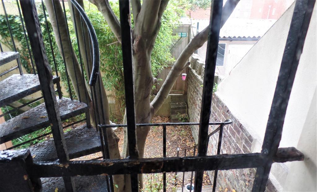 Courtyard garden.jpg