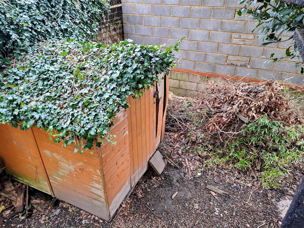 Garden shot 2.jpg