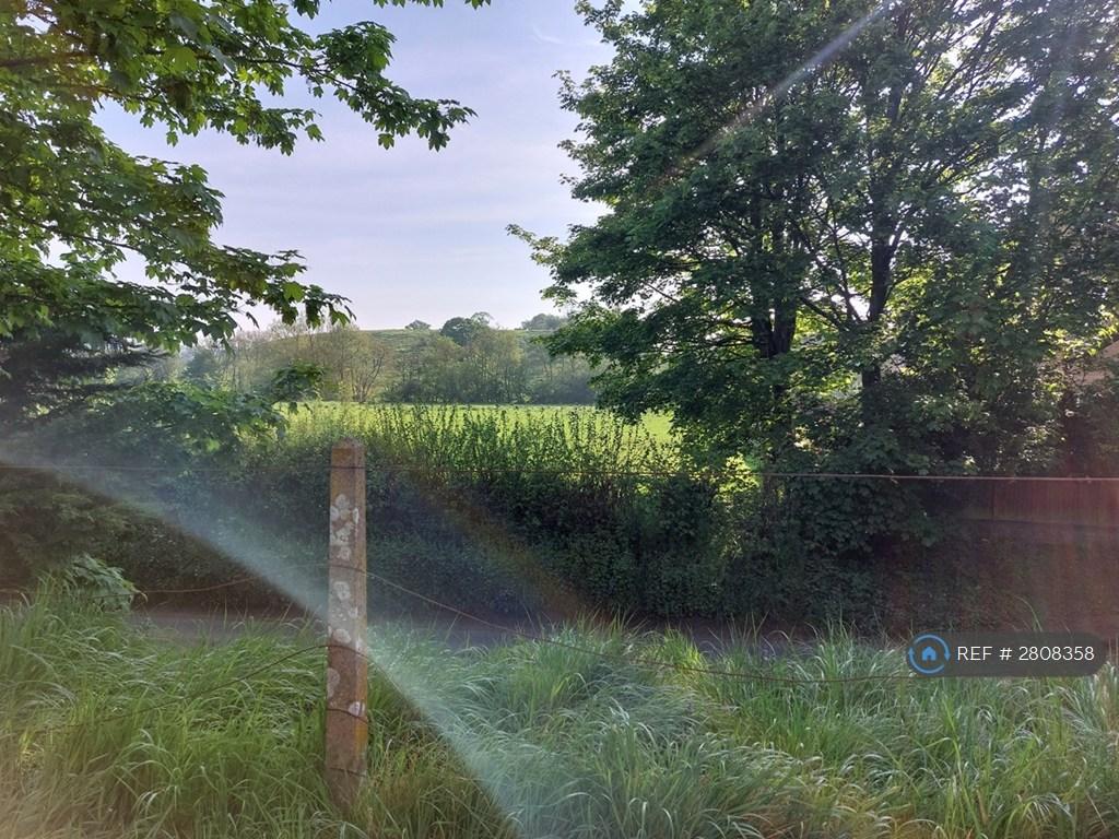 Country Views