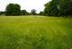 Additional image 2 of Hollybush Lane, Codsall, WV8