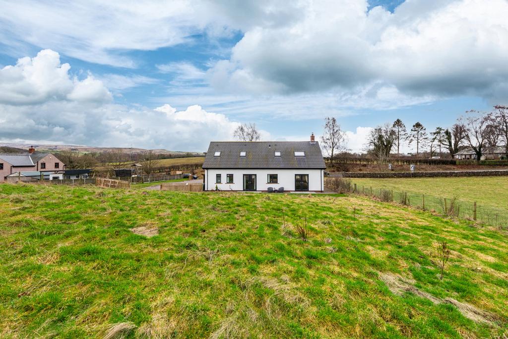 Rear of the Property