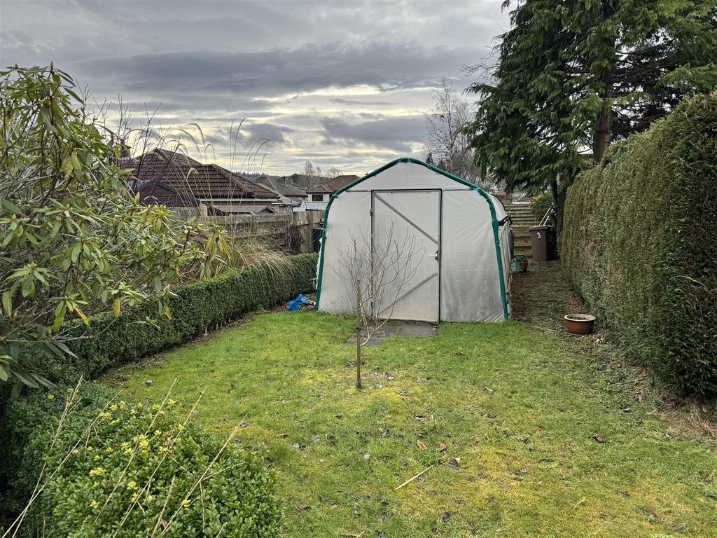 Polytunnel.jpg