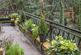 Additional image 9 of Woodstock Close, North Oxford, OX2