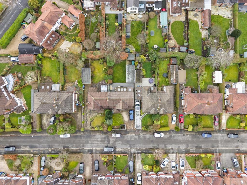 DJI 20260226110903 0236 D.jpg