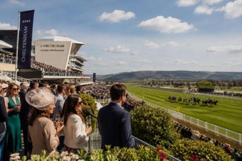 undefined, Tamworth Chase, Cheltenham
