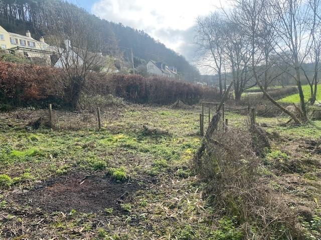 Burnards orchard.jpg