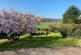 Additional image 10 of Weare Giffard