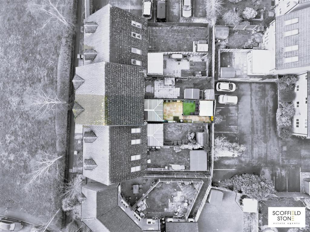 Birds eye