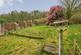 Additional image 13 of Amados Drive, Plymouth