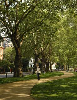 1 bedroom apartment for sale, Brook Green, London W6