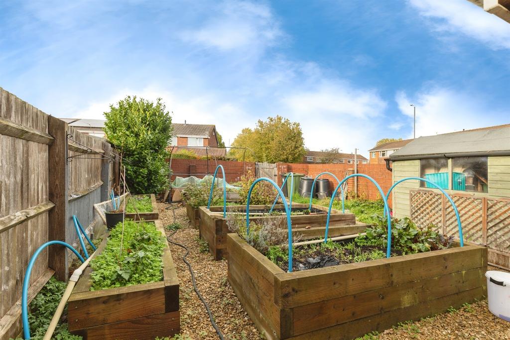 Garden view, garden