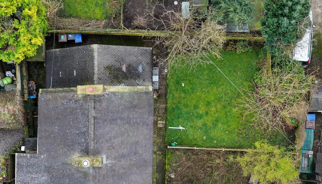 DJI 20260226121226 0148 D.jpg