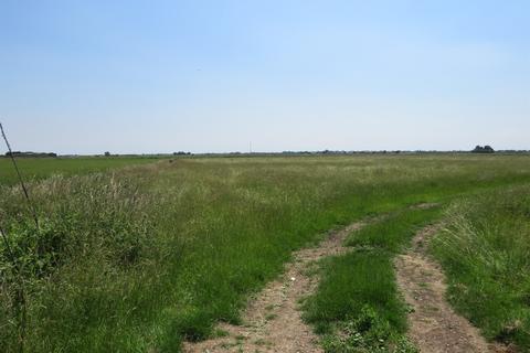 undefined, Primrose Hill, Doddington, March