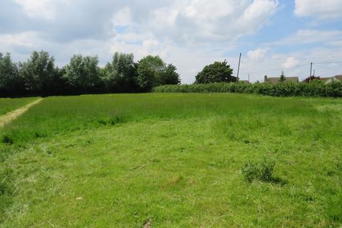 undefined, Primrose Hill, Doddington, March