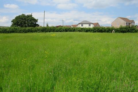 undefined, Primrose Hill, Doddington, March