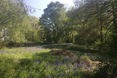 undefined, Badger Wood, Bronington, Wrexham SY13