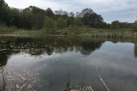 undefined, Badger Wood, Bronington, Wrexham SY13