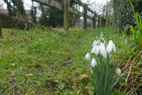 undefined, Badger Wood, Bronington, Wrexham SY13