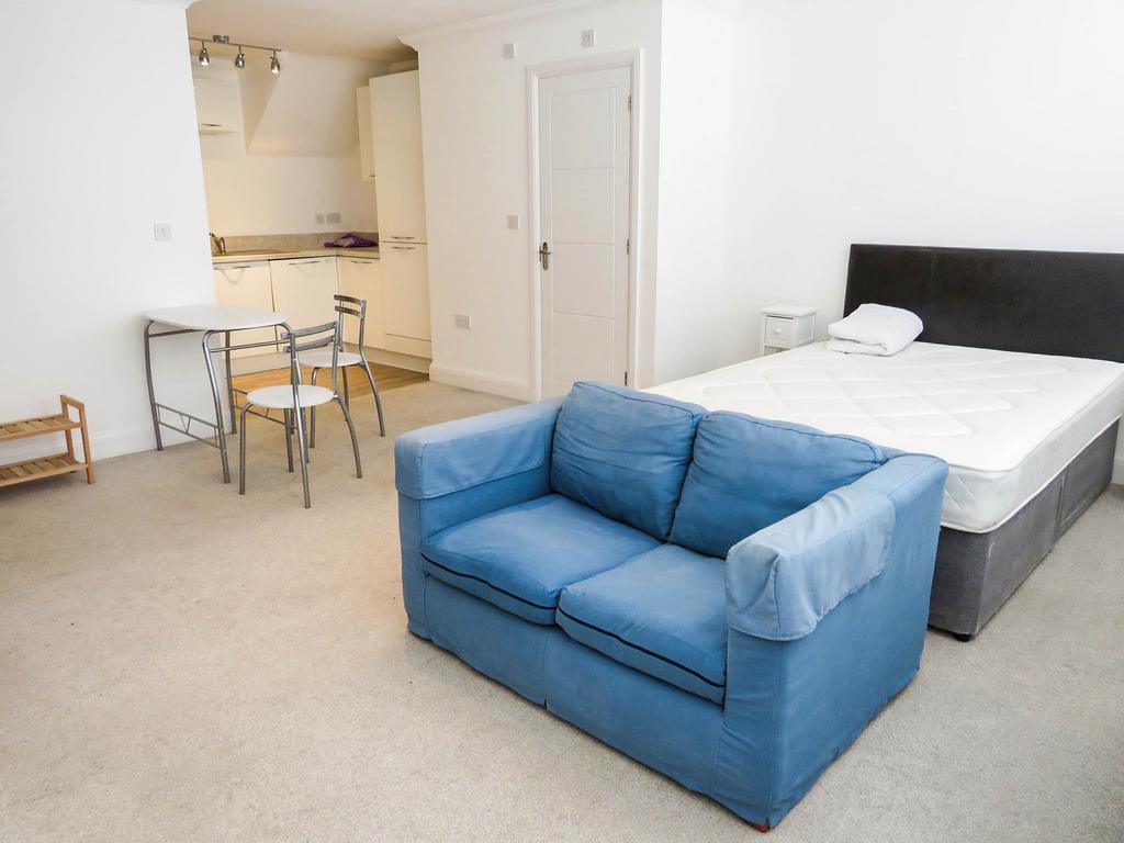 Lounge / Bedroom