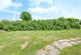 Additional image 16 of Waveney Valley, Burgh Castle, Great Yarmouth