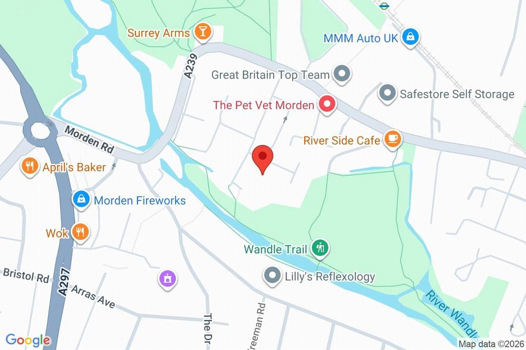 Google Maps Image