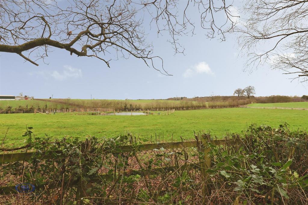8f9da7aa-Field.JPG