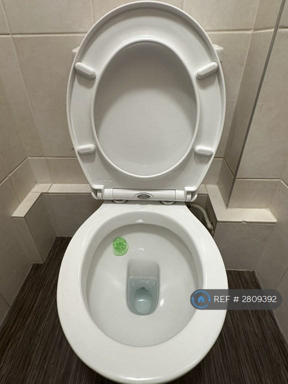 Detachable Toilet Cover For Easy Cleaning