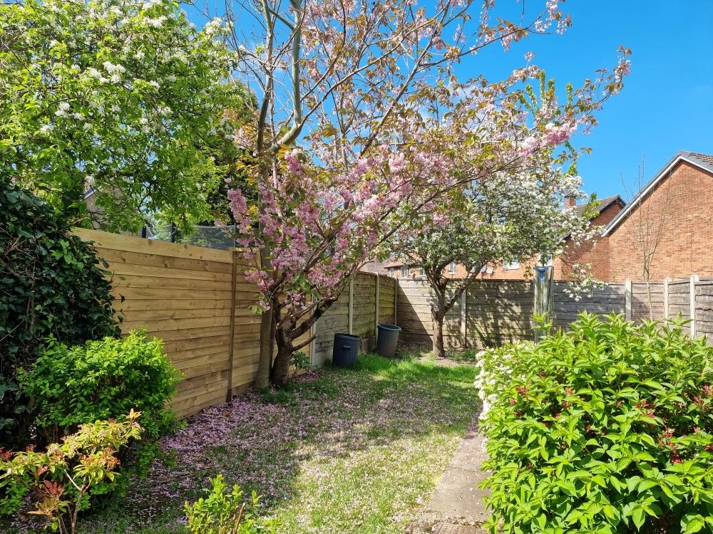 Rear garden