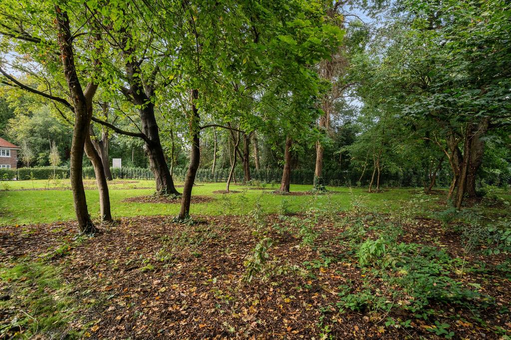 Woodland
