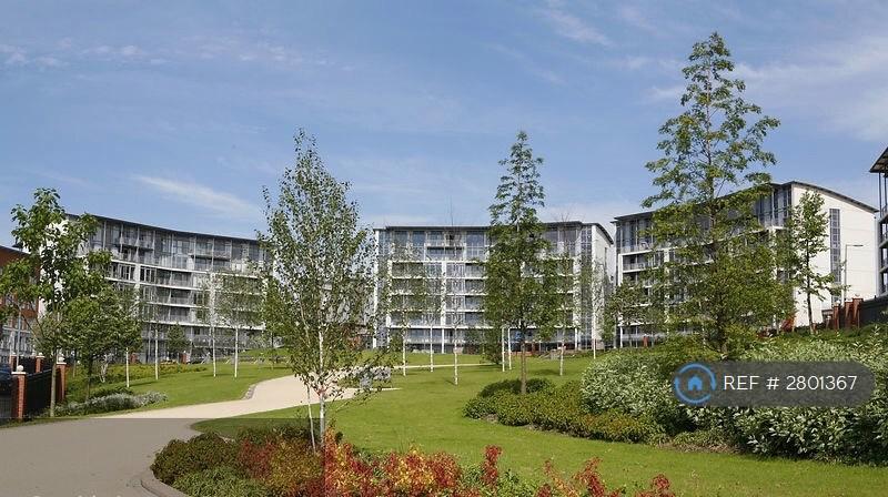 Communal Gardens